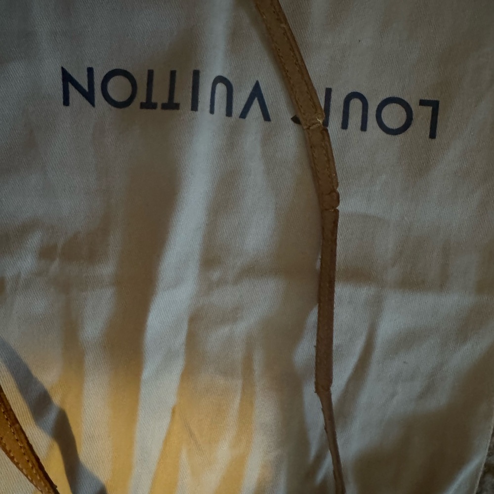Louis Vuitton Brown and Gold Crossbody Bag - Picture 16 of 17